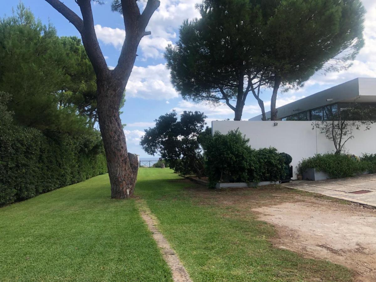 Beachfront Villa Hoopoe Schinias, Marathon Екстериор снимка