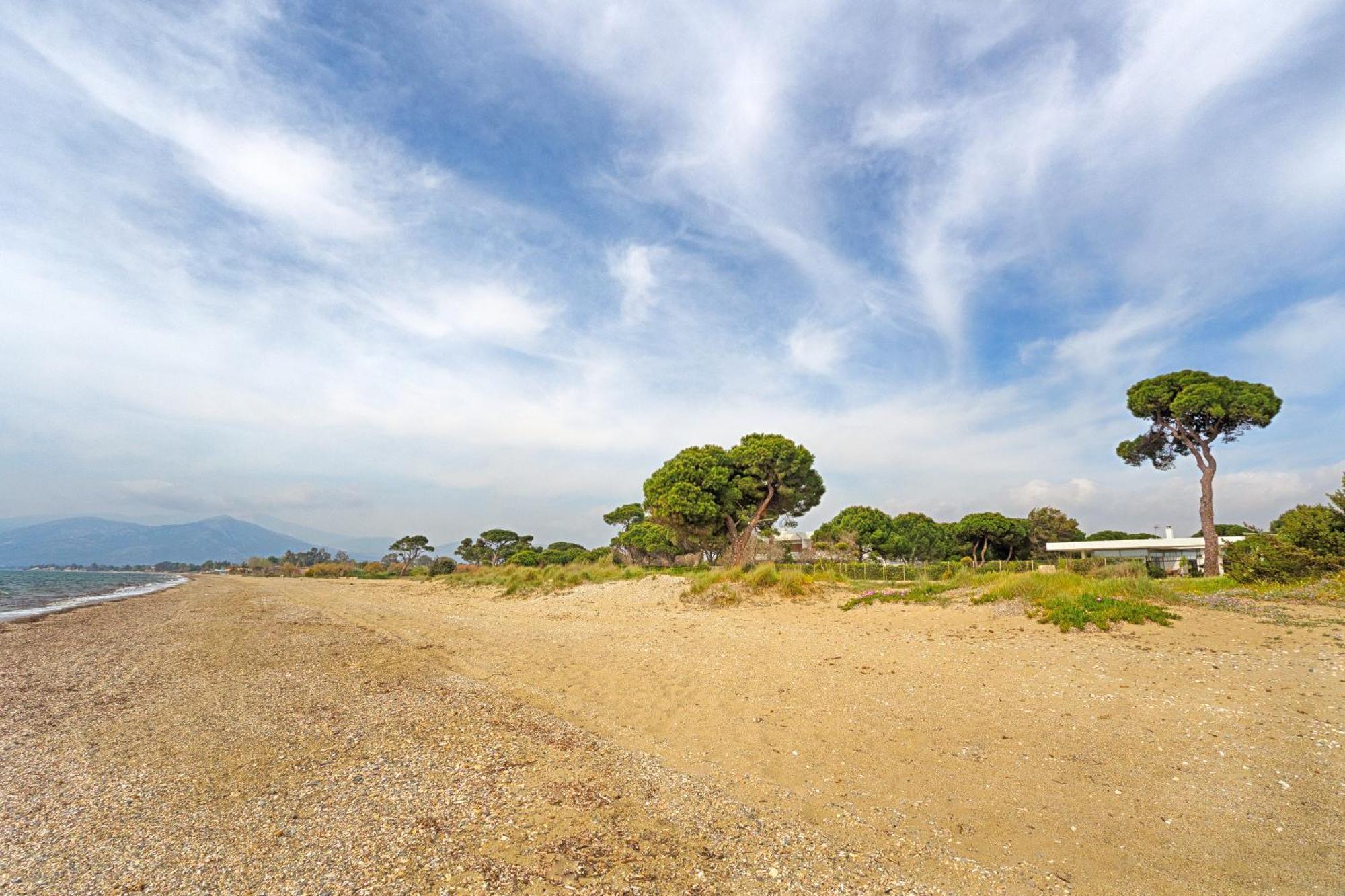 Beachfront Villa Hoopoe Schinias, Marathon Екстериор снимка
