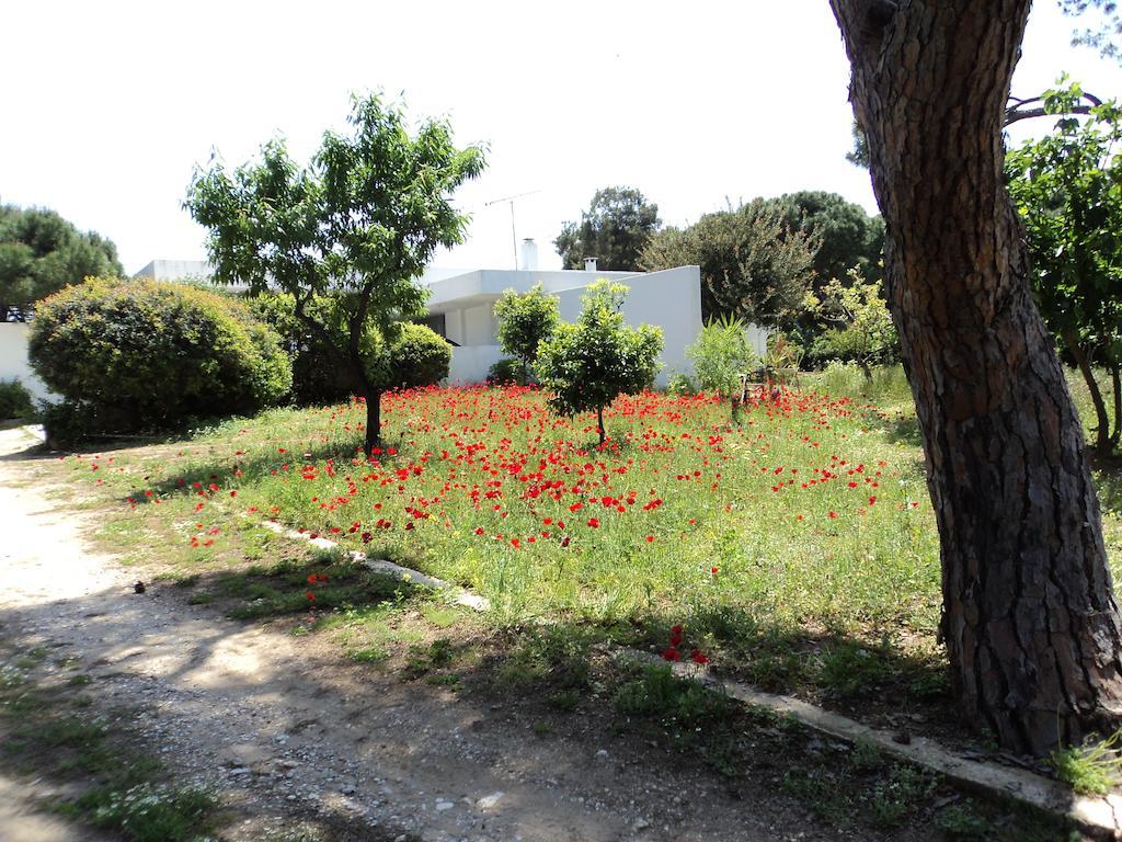 Beachfront Villa Hoopoe Schinias, Marathon Стая снимка